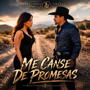 Me Canse De Promesas
