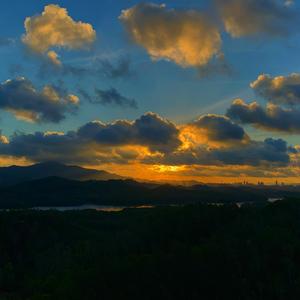 若 【Prod Furly Lil Siren】