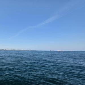 離れられない君よ