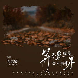 等不来缘分等不来你