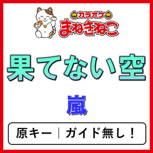 果てない空（カラオケ）[嵐]