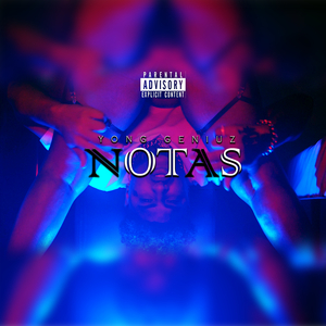 Notas