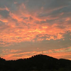 火钳刘明2021 (翻自 姜云升)