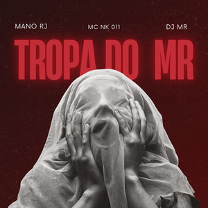 Tropa do Mr