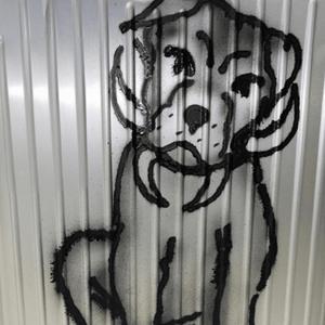 so sorry (feat. benjifvr)