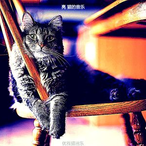 抚慰的睡猫回忆