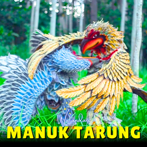 Manuk Tarung