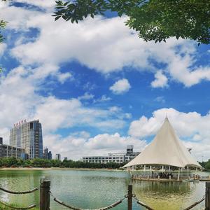 再会，我的滨医依！