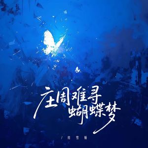 庄周难寻蝴蝶梦