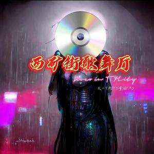 西矿街歌舞厅【Disco in TY.City】