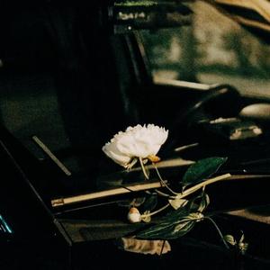 【FREE】Endless（Prod.FreeFish）