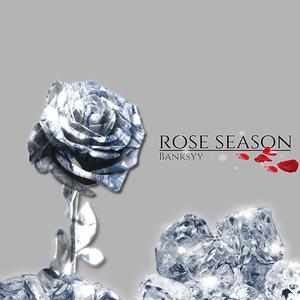 玫瑰季