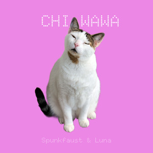 Chi Wawa