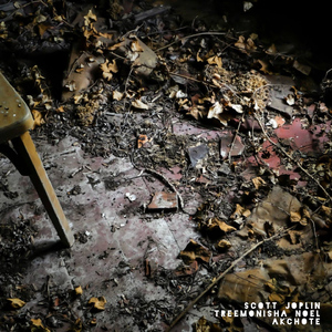 Treemonisha: We're Goin' Around (Arr. for Dobro)