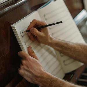 La cornacchia della laguna