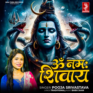 Om Namah Shivaya