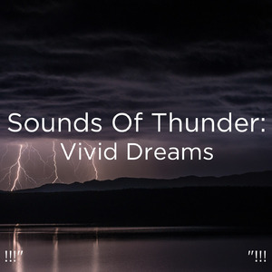 호우 잠