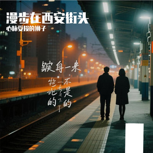 漫步在西安街头 (1)