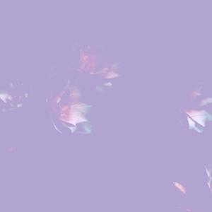 Posies Intro