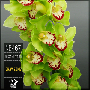 Devastation (Original Mix)