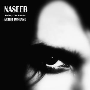NASEEB
