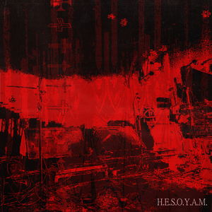H.E.S.O.Y.A.M.