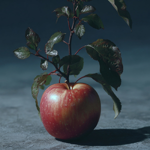 午前三時のナイトガール