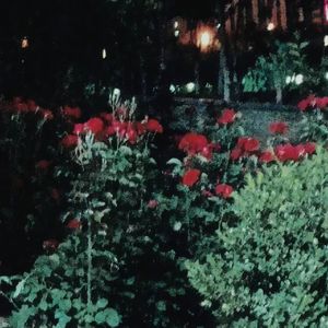 FREE-'Roses'-YOUNG（建坤） Type Beat