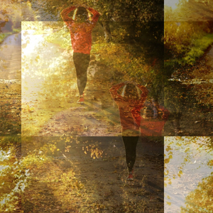 Auto Cholecystectomy