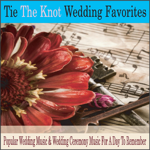 Ave Maria (Tie the Knot Instrumental)