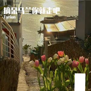 摘朵马兰你就走吧