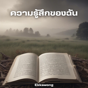 ความรู้สึกของฉัน