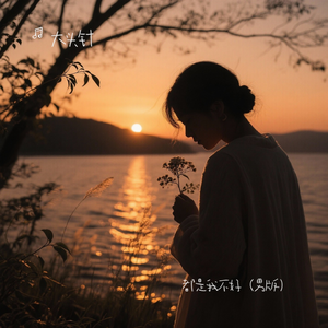 等晚风过境就忘了你（释怀版）