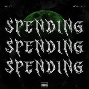 SPENDING