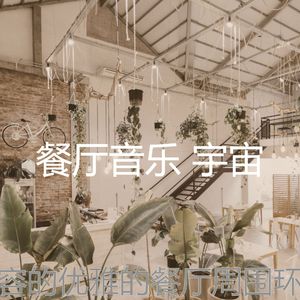 一尘不染音乐印象数