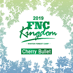 Q&A (Live 2019 FNC KINGDOM -WINTER FOREST CAMP-@Makuhari International Exhibition Halls, Chiba)