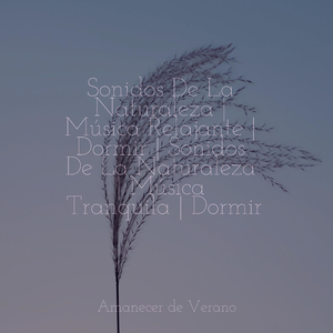 Floración de Flores