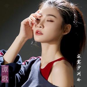 寂寞沙洲冷 (DJ版)