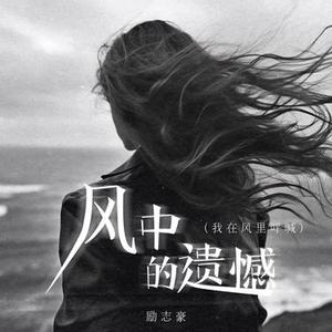 风中的遗憾