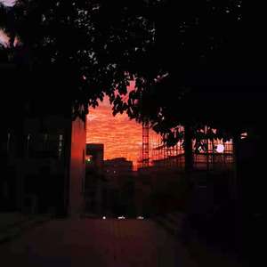 星光再弱也是光（翻自 野夫子）