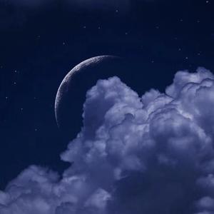 所念皆星河