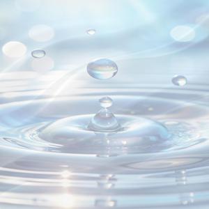 Professor’s Office Hours