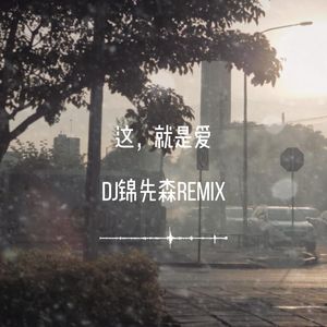 这，就是爱（DJ锦先森 Remix）