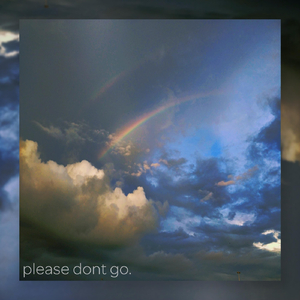 Please Dont Go
