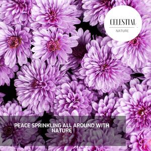 Through the Fire Light