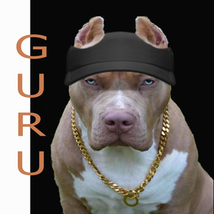 Gúru