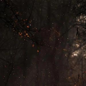 【Free】"Classical" 90's old school boombap beat