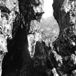 Static Dissipative Points in a Liquid Shadow