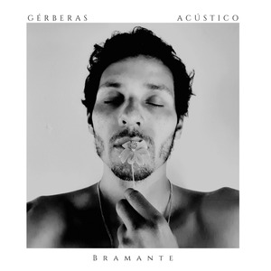 Gerberas (Acústico)