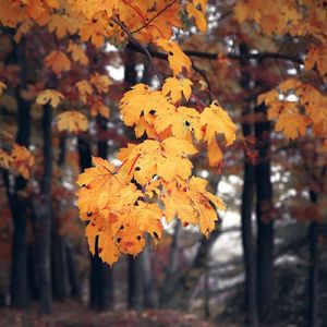 雨下的爱情（背景轻音乐）